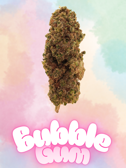 BUBBLEGUM