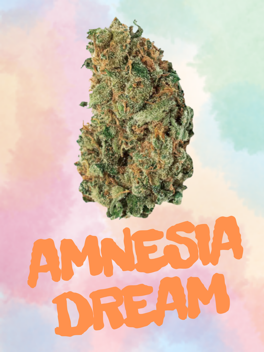 AMNESIA DREAM