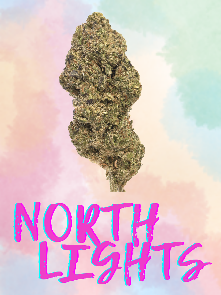 NORTH LIGHTS