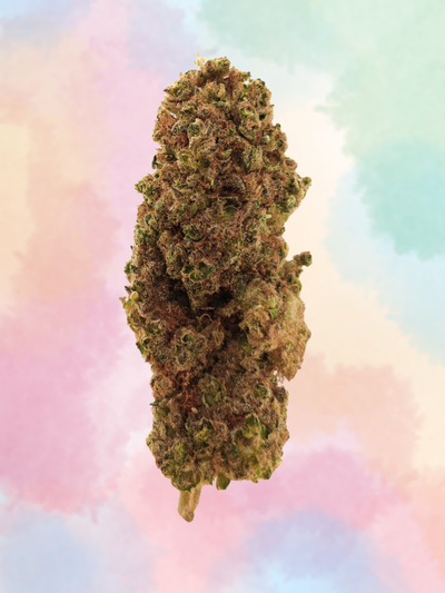 BUBBLEGUM