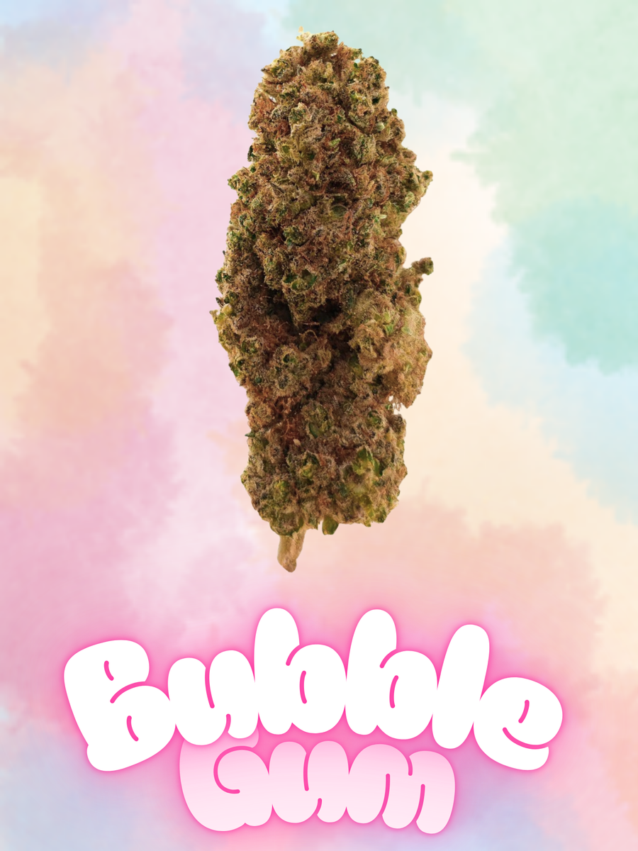BUBBLEGUM