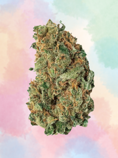 AMNESIA DREAM