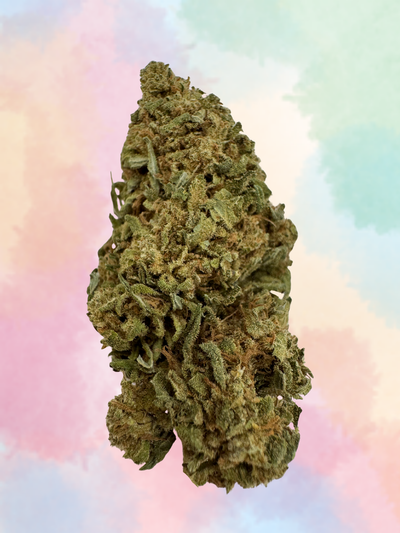 LEMON V 02