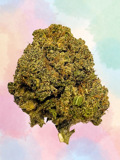 CRITICAL