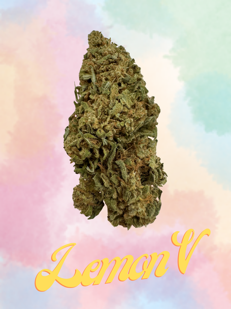 LEMON V 02