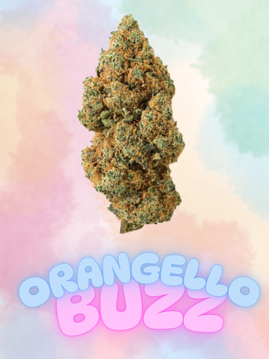 ORANGELLO BUZZ