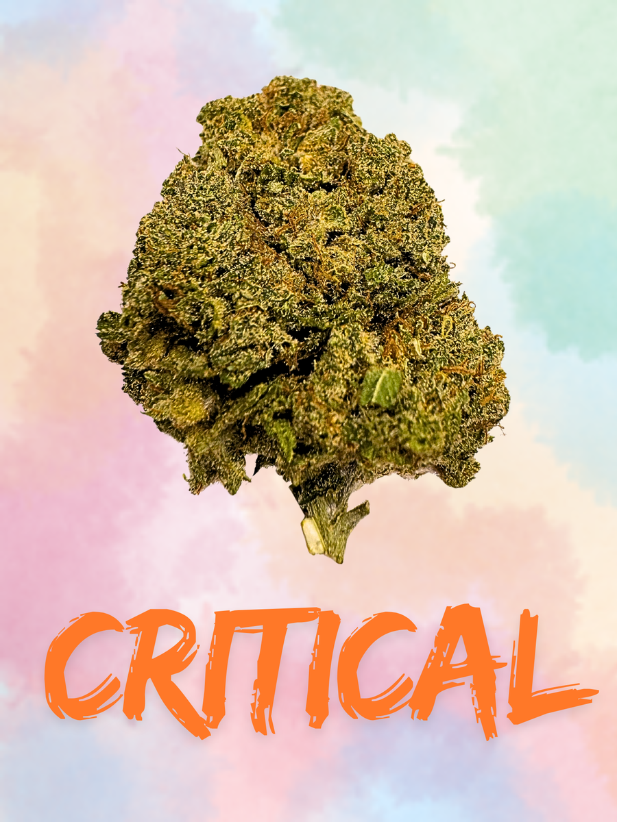 CRITICAL